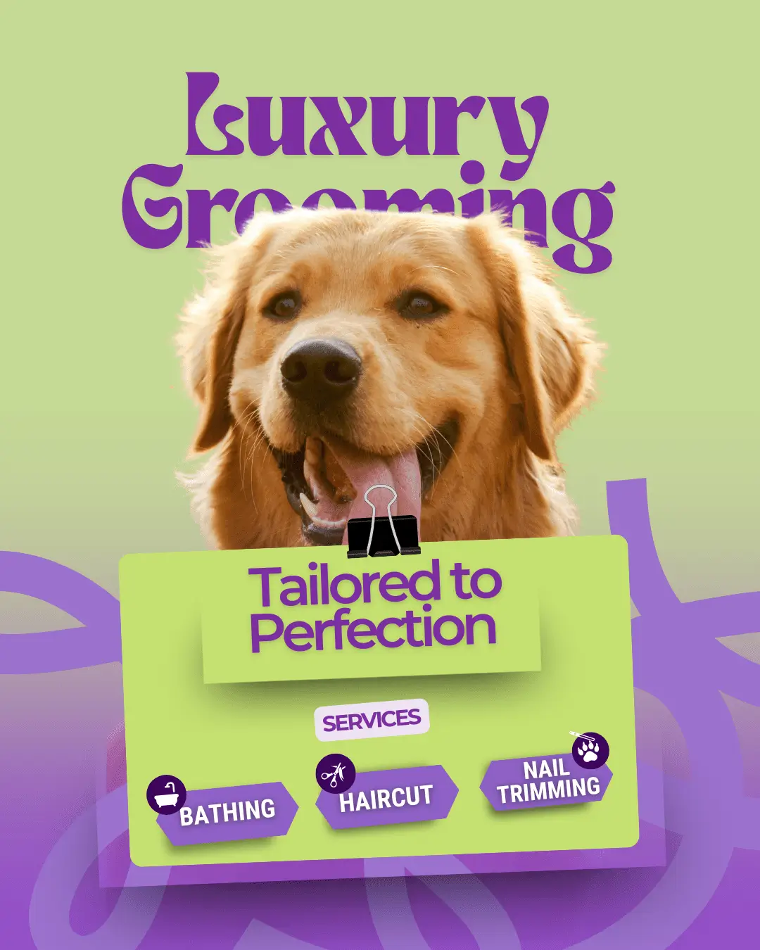 luxurious-paws-4